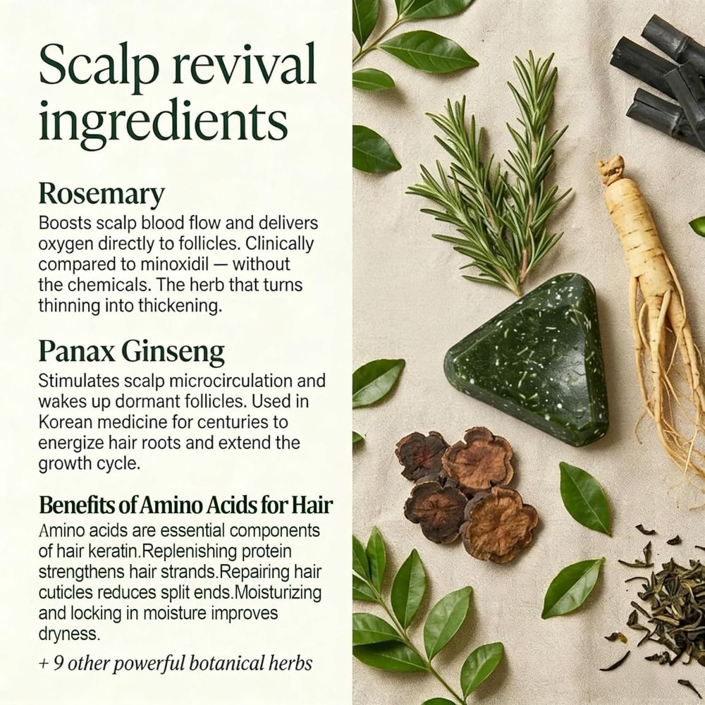 Rosemary Amino Acid Korean Sca – Hair Care Pantene recenzja i cena