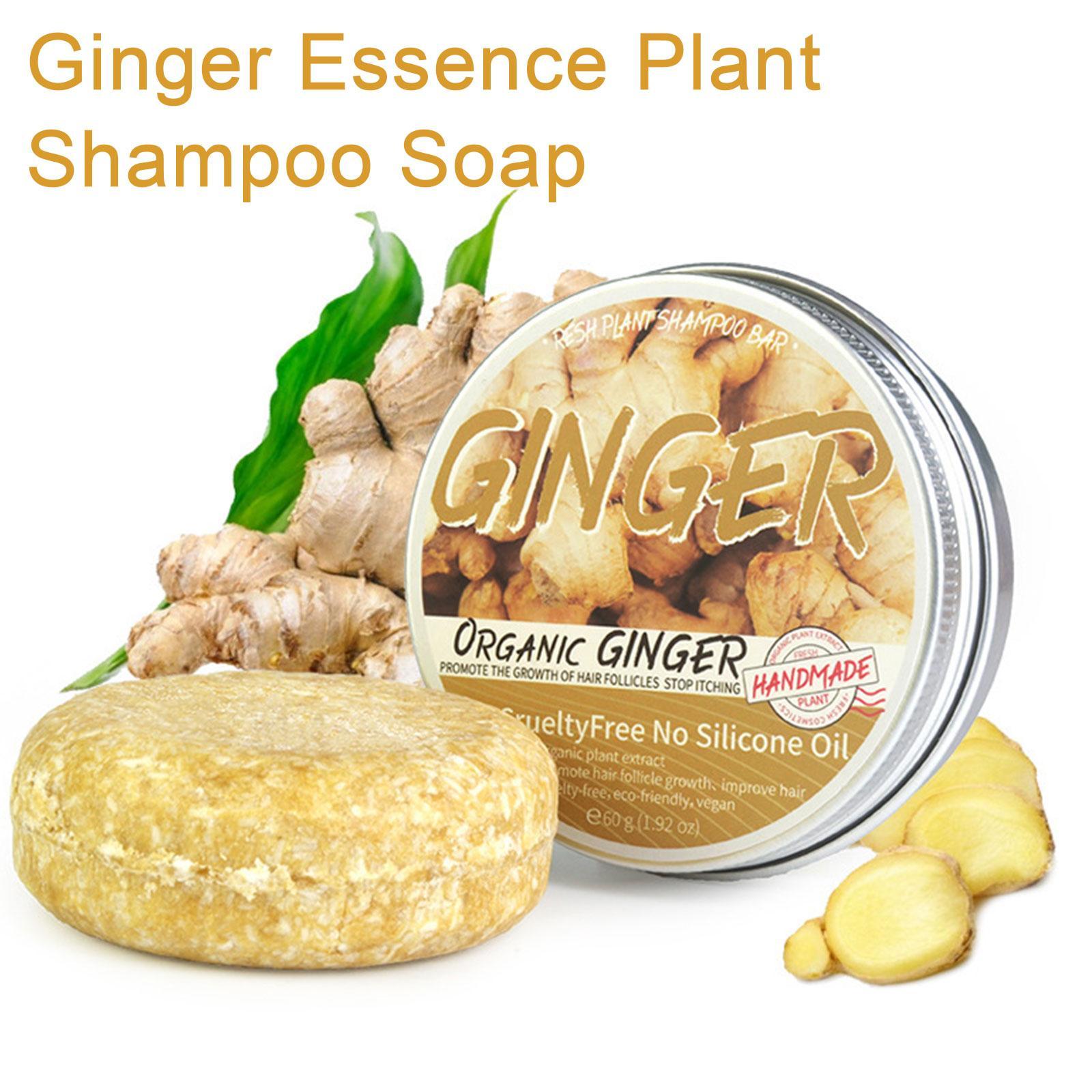 Ginger Polygonum Soap Shampoo  – Hair Care Pantene recenzja i cena